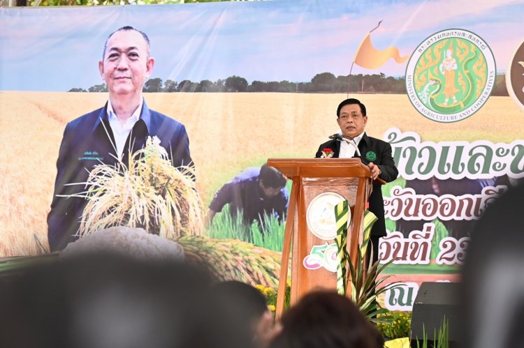 “เฉลิมชัย”เดินหน้าพัฒนาเกษตรอีสานคิกออฟงานวันข้าวและชาวนาแห่งชาติ