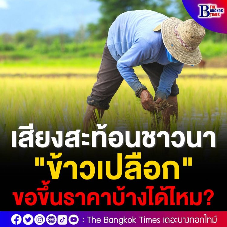 เสียงสะท้อนจากชาวนา ข้าวเปลือกขอขึ้นราคาบ้างได้ไหม?