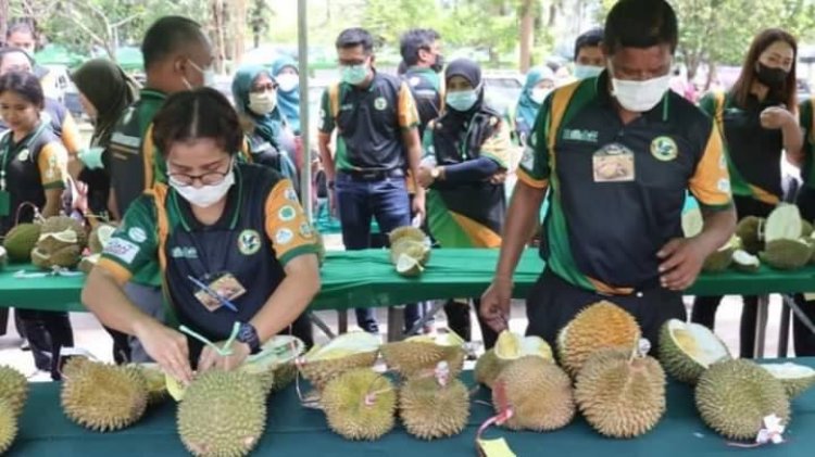 เกษตรปัตตานี จัดงานประกวดทุเรียนพื้นเมืองคัดเลือกสายพันธุ์ต่อยอดเชิงพาณิชย์