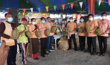 มหกรรมเทศกาลผลไม้และของดีศรีขุนหาญ ดินแดนทุเรียนดินภูเขาไฟ (ชมคลิป)