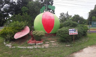 ชัยภูมิเตรียมเปิดเทศกาลส้มโอหวานบ้านแท่นกระตุ้นเศรษฐกิจชุมชน