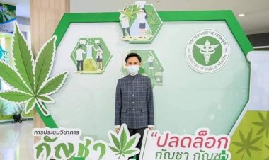 "ปานเทพ"เผยคนไทย 18.8 ล้านคน เคยใช้กัญชา-แก้ปัญหาต้อง"ยอมรับข้อเท็จจริง