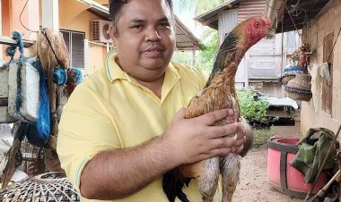 "อานนท์"เร่งผลักดันหนุนกลุ่มวิสาหกิจชุมชนเลี้ยงไก่ชนราคาสูงควบคู่ไก่พื้นบ้าน