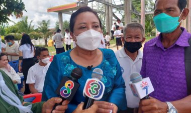 กลุ่มอนุรักษ์ป่าอำนาจเจริญโวยนายทุนโค่นต้นยางนากว่า 1,000 ต้นคดีไม่คืบ