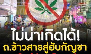 ไม่น่าเกิดได้ ถนนข้าวสารสู่ฮับกัญชา เหตุใกล้วัด-โรงเรียน