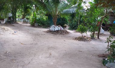 “ยูเรียน้ำอินทรีย์”ทางออกวิกฤติปุ๋ยแพง ลดต้นทุนจาก 2,000 เหลือ 200 บาท