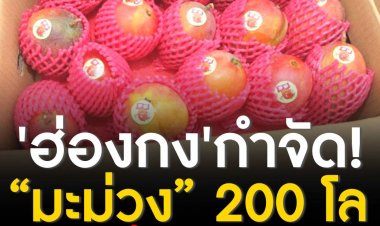 ฮ่องกง มีคำสั่งให้กำจัด มะม่วง 200 กิโลกรัมจากไต้หวัน เนื่องจากพบ เชื้อโควิด-19 บนเปลือกมะม่วง