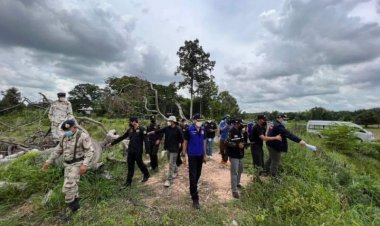 คุณยายร่ำให้!นายทุนจัญไรหลอกโค่นยางนาอายุกว่า 200 ปี 21 ต้นเบี้ยวจ่ายเงินหนีลอยนวล