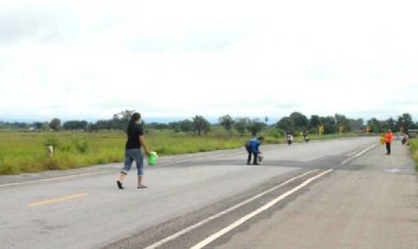 ฝนเทลงมาขบวนพาเหรดปูเเห่เดินข้ามถนน ชาวบ้านออกเก็บเป็นเมนูเด็ดลดค่าใช้จ่าย