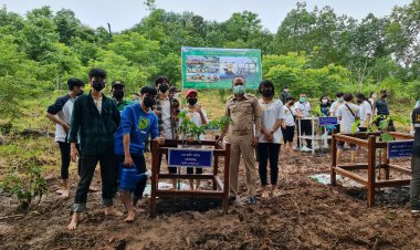 นายอำเภอขุนหาญ ร่วมกิจกรรมโครงการพัฒนาเครือข่ายเฝ้าระวังการบุกป่า