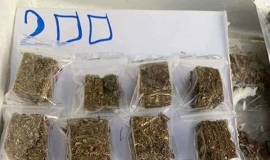 ของจริง!!! ประเทศไทยดินแดนเสรีกัญชา