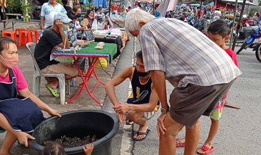 ฝนตกต่อเนื่อง!ชาวโคราชแห่จับอึ่งอ่างปรุงเมนูเด็ด-ขายกก.ละ200-300 บาท