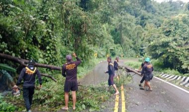 ฝนถล่มลมกรรโชกแรงโค่นต้นไม้ล้มปิดถนนเส้นแม่ระมาด-บ้านตาก ทหารเร่งเคลียร์เปิดทาง