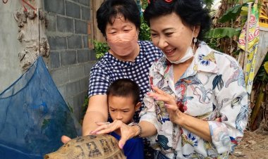 ฮือฮา!เต่าสีทองมีเกล็ดพญานาค กระดองเหมือนผ้ายันต์พระพุทธรูป