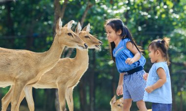 สวนสัตว์ทั่วประเทศเปิดให้เด็กเที่ยวฟรีเนื่องในวันเฉลิมพระชนมพรรษาในหลวง 28 ก.ค.นี้