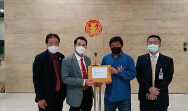 ชาวอำนาจเจริญโวยนายทุนลอบโค่นต้นยางนายักษ์กว่า 1,000 ต้นคดีไม่คืบหน้า