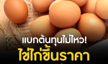 แบกต้นทุนไม่ไหว! วันนี้ไข่ไก่ขึ้นราคาแผงละ 6 บาท สัปดาห์หน้าอาจขอขึ้นอีก