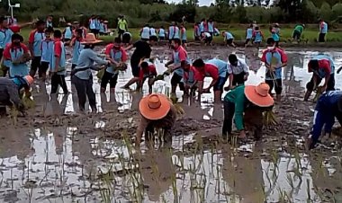 คณะครูโรงเรียนเขาไม้แก้วปราจีนฯร่วม ผู้ปกครอง และอบต.ลงแขกดำนา