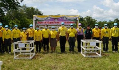 ตชด.ภาค 4 ปลูกป่า โครงการ จิตอาสา ตระเวน ปลูกป่า ชายแดน เฉลิมพระเกียรติ