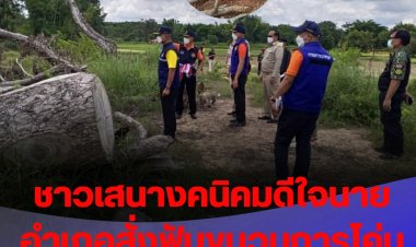 ชาวบ้าน อำเภอเสนางคนิคม อำนาจเจริญ ดีใจนายอำเภอสั่งฟันขบวนการโค่นต้นไม้ยางนา (มีคลิป)