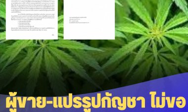 สธ.ออกหนังสือด่วนถึง ผบ.ตร. ผู้ขาย-แปรรูปกัญชา ไม่ขออนุญาต 4 กรณี จับได้ทันที