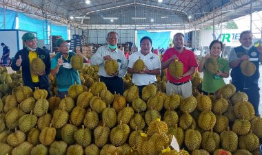 อบจ.นราธิวาส จัดโครงการส่งออกทุเรียนสู่ตลาดต่างประเทศ ครั้งที่ 1 ปี 2565