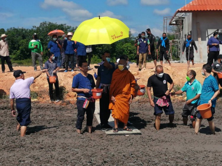 คุณพระทำนา!พระเทพศิลวิสุทธ์ร่วมชาวสุไหงปาดีหว่านเม็ดข้าวทุ่งนาปากหล่อ