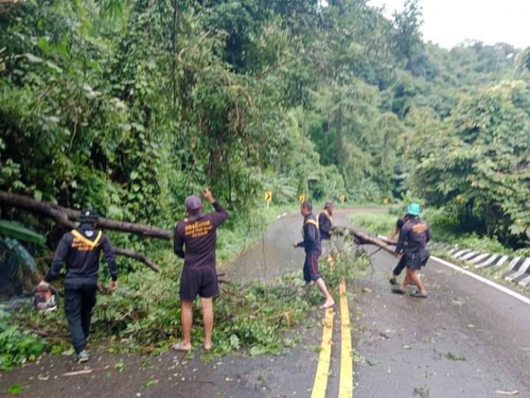 ฝนถล่มลมกรรโชกแรงโค่นต้นไม้ล้มปิดถนนเส้นแม่ระมาด-บ้านตาก ทหารเร่งเคลียร์เปิดทาง