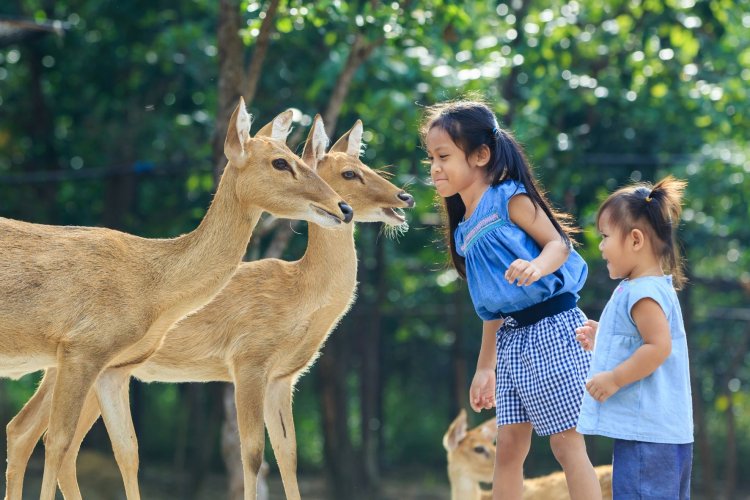 สวนสัตว์ทั่วประเทศเปิดให้เด็กเที่ยวฟรีเนื่องในวันเฉลิมพระชนมพรรษาในหลวง 28 ก.ค.นี้