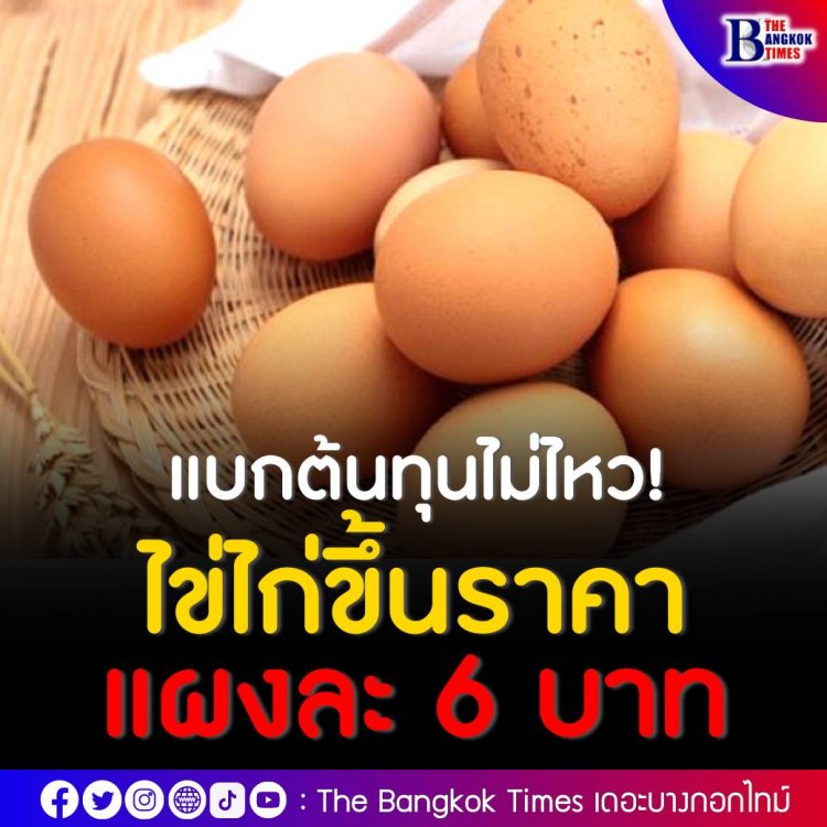 แบกต้นทุนไม่ไหว! วันนี้ไข่ไก่ขึ้นราคาแผงละ 6 บาท สัปดาห์หน้าอาจขอขึ้นอีก