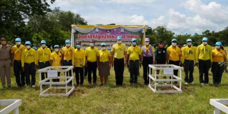 ตชด.ภาค 4 ปลูกป่า โครงการ จิตอาสา ตระเวน ปลูกป่า ชายแดน เฉลิมพระเกียรติ