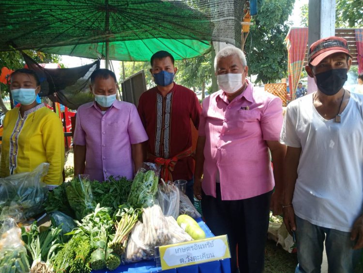 สืบสานวัฒนธรรม ประเพณี วิถีชุมชน ตำบลวังตะเคียนสู่โรงเรียนผู้สูงอายุ