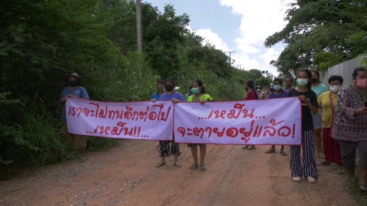 ชาวบ้านโคราช 200 หลังคาเรือน ทนกลิ่นเหม็นและน้ำเสียจากฟาร์มหมูไม่ไหว วอนผู้ว่าช่วยด้วย