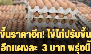 ขึ้นราคาอีก! ไข่ไก่ปรับขึ้นอีกแผงละ  3 บาท พรุ่งนี้ ( 3 ส.ค.) เป็นต้นไป
