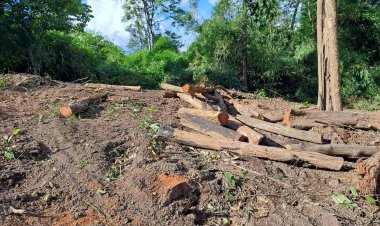 ชาววังชิ้นร้องหน่วยงานตรวจสอบแก๊งลักลอบตัดป่าปลูกโครงการหลวง