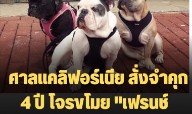 ศาลแคลิฟอร์เนีย สั่งจำคุก 4 ปี โจรขโมย "เฟรนช์ บูลด็อก" ของ เ"ลดี้ กาก้า"