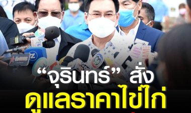 “จุรินทร์” สั่งดูแลราคาไข่ไก่ใกล้ชิด พร้อมตรึงราคาสินค้า ยังไม่อนุญาตให้ บะหมี่กึ่งสำเร็จรูปปรับขึ้น