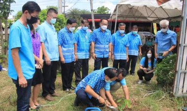 ทน.แม่สอด จัดกิจกรรม ปล่อยมัจฉาคืนสู่วารี=ปลูกต้นไม้=พัฒนาเมือง