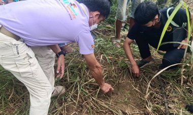 ชาวตาหลังในผวา พบรอยเท้าสัตว์คล้ายรอยเท้าเสือ วอนเจ้าหน้าที่ตรวจสอบ