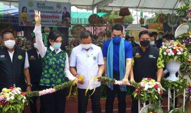 "อนุทิน"รมว.สธ.เปิดงานประชุมวิชาการวิชาการกัญชาทางการแพทย์เขตสุขภาพที่ 3 ที่อุทัยธานี