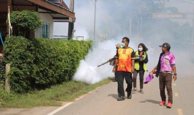 ไข้เลือดออกระบาดศรีสะเกษแล้ว5อำเภอ 451 ราย