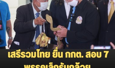 เสรีรวมไทย ยื่น กกต. สอบ 7 พรรคเล็กรับกล้วย เข้าข่ายยุบพรรค-ชี้อดีตพรรคไทยรักไทยเคยโดน-ย้ำหลักฐานชัด กกต.ต้องเร็ว-ตรงไปตรงมา