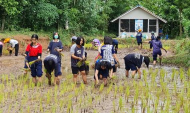 ร.ร.โนนคูณวิทยาคาร รัชมังคลาภิเษก จัดกิจกรรม“ดำวันแม่ เกี่ยววันพ่อ”