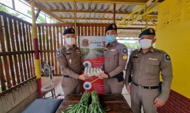 ตร.ทางหลวงเพชรบูรณ์ ดำเนินโครงการเศรษฐกิจพอเพียงให้กำลังพลและครอบครัว