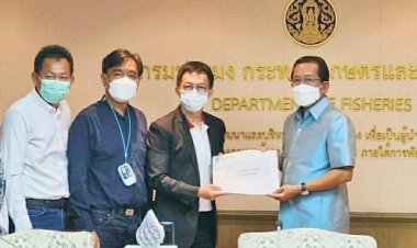 สมาคมกุ้งไทย เข้าพบอธิบดีกรมประมง ร้องขอมาตรการเร่งด่วนแก้ปัญหาโรคกุ้ง