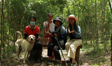 บ่อสวก เปิดประสบการณ์ท่องเที่ยวเชิงเกษตรวิถีน่านโชว์อาหารถิ่น  นั่งรถราง และเวิร์คช็อปในสวนเกษตร