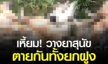 เหี้ยม! วางยาสุนัขตายทั้งฝูง ชาวบ้านรวมตัวเอาผิด