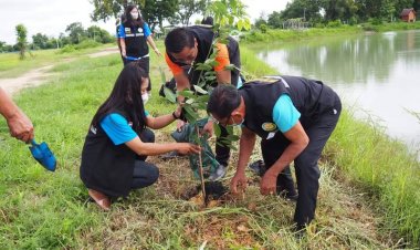 นายกเทศมนตรีตำบลหนองใหญ่เป็นประธานในพิธี รวมใจท้องถิ่นปลูกต้นไม้เพื่อแผ่นดินสืบสานสู่ ๙๐ ล้านต้น