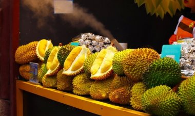 ส่งออกทุเรียนไทยสะเทือน!จีนปลูกทุเรียนได้เองแล้วที่เกาะไห่หนาน