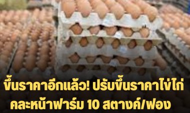 ขึ้นราคาอีกแล้ว! ปรับขึ้นราคาไข่ไก่คละหน้าฟาร์ม 10 สตางค์/ฟอง หรือ 3 บาท/แผง (30 ฟอง) จาก 3.50 บาท เป็น 3.60 บาท/ฟอง